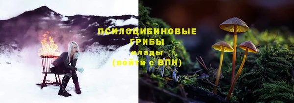 индика Майский