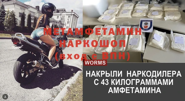 гидра Медвежьегорск