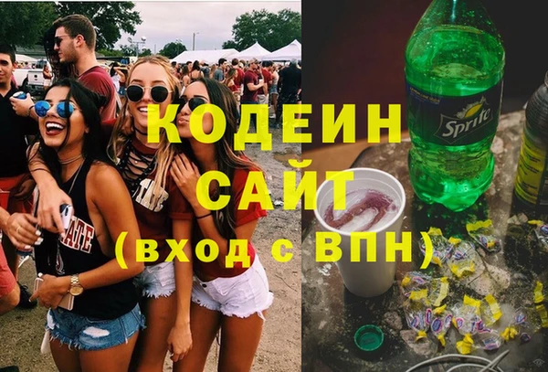 индика Майский