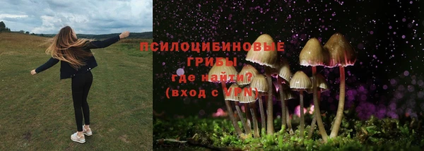 индика Майский
